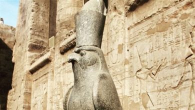 تعرف على بركة البردي في مصر السفلى