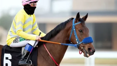 قصة أمل فيصل .. أول فتاة سعودية تحصد جائزة رسمية في ركوب الخيل