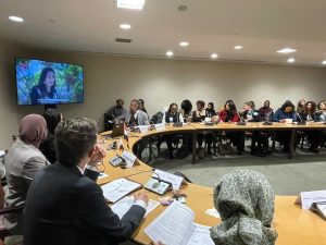 إطلاق "نورة" و "دوى" من قلب الأمم المتحدة فى نيويورك