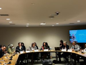 إطلاق "نورة" و "دوى" من قلب الأمم المتحدة فى نيويورك