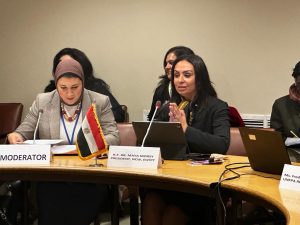 إطلاق "نورة" و "دوى" من قلب الأمم المتحدة فى نيويورك