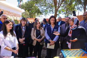 المشاط: تدريب 67 ألف من رائدات الأعمال في صعيد مصر وتوفير قروض صغيرة لـ 28.8 منهن لتنمية أعمالهن 15 المشاط: تدريب 67 ألف من رائدات الأعمال في صعيد مصر وتوفير قروض صغيرة لـ 28.8 منهن لتنمية أعمالهن