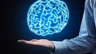 تحسين وتعزيز الذاكرة