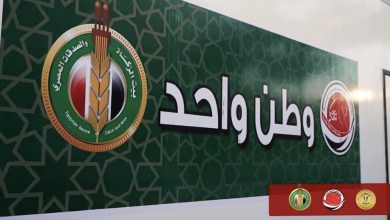 قطار الخير لمجلس القبائل والعائلات المصرية يصل بني سويف