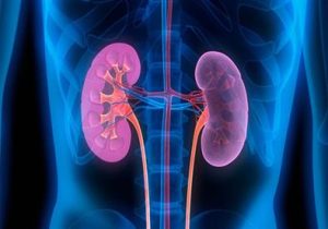 نصائح لمرضي الكلى