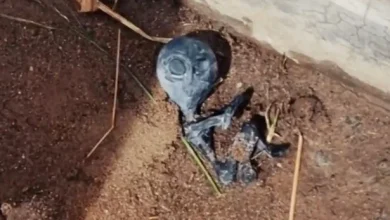 العثور على كائن فضائي ميت ببوليفيا.. القصة الكاملة