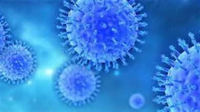 دراسة جديدة: بقايا الفيروسات القديمة تساعد الجسم على محاربة السرطان