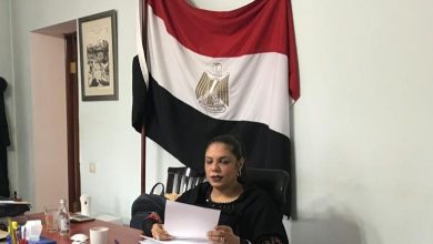 الدكتورة راندا رزق : ذكرى تحرير سيناء عيد من التحرير إلى التنمية