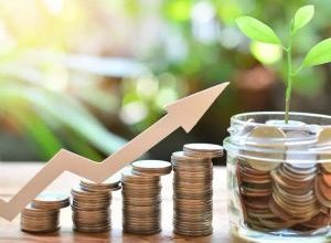 الإفتاء المصرية تحدد فئات لا يجب عليها إخراج زكاة الفطر