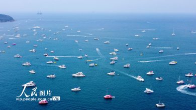 ازدهار سياحة اليخوت في سانيا بمقاطعة هاينان