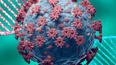 «سريع الانتشار» .. كل ما تريد معرفته عن متحور كورونا الجديد «أركتوروس»