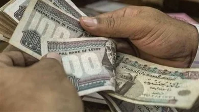 شروط الحصول على منحة الزواج .. تفاصيل