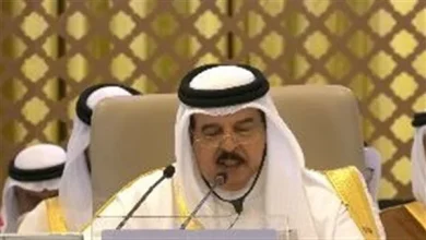 قمة جدة .. العاهل البحريني يدافع عن حقوق مصر في مياه النيل