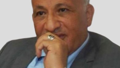 د عبد العزيز حمدي يكتب : الثقافة الصينية وتداول الحضارات