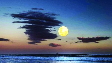 قلب القمر «حديد» .. تحقيق شامل يكشف