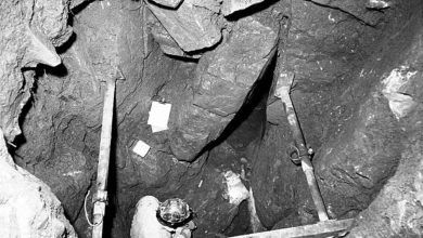 عينات طاعون في بريطانيا تعود لـ4000 عام