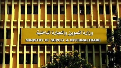 مصر تكشف حقيقة تحويل الدعم العيني إلى نقدي