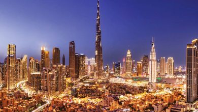 تعاون مجلس الإمارات للمستثمرين وبيزنس فرانس