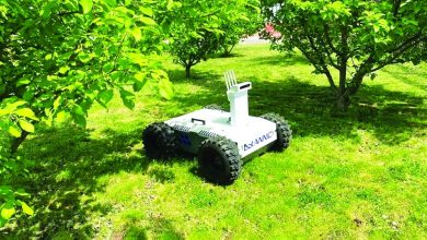 علماء روس يبتكرون روبوت يجول البساتين ويكتشف الثمار التالفة