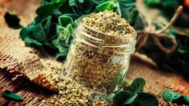 فوائد الأوريجانو لخسارة الوزن وزيادة نسبة العضل في الجسم