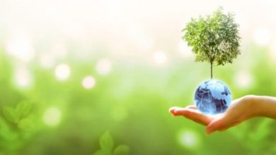 توقعات بنمو القدرة العالمية للطاقة المتجددة بمقدار الثلث في 2023