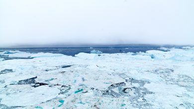 دراسة : القطب الشمالي قد يصبح خالياً من الجليد 5 دراسة : القطب الشمالي قد يصبح خالياً من الجليد