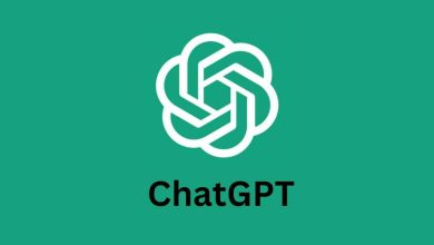 رئيسة وزراء الدنمارك تستخدم GBT Chat لكتابة جزء من خطاب