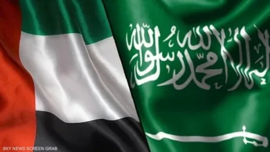 السعودية والإمارات في مقدمة الدول الرائدة نحو التحول للطاقة النظيفة