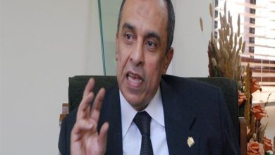 الزراعة: نواصل متابعة مشروعات التعاون بين مصر والدول الصديقة في مجال التنمية