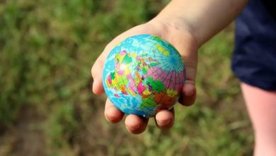 10 كائنات مهددة بالانقراض بسبب التغيرات المناخية