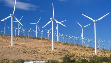 مصر تنجز خطوات مهمة على طريق تعزيز التنمية المستدامة