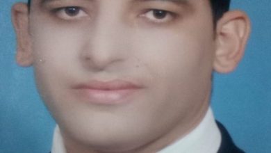 د. عبد الرحمن الدياسطي يكتب: مسؤلية المرأة نحو النهوض بالمجتمع