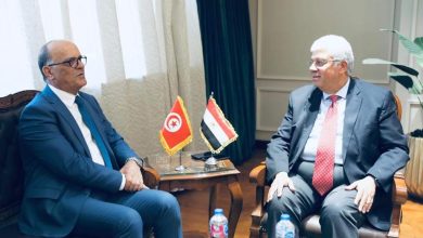 مصر وتونس تعدان برنامجا تنفيذيا في مجالات التعليم العالي والبحث العلمي