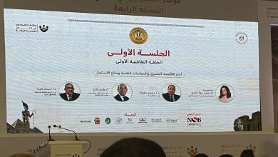 مؤتمر المصريين بالخارج.. 6 محاور على طاولة النقاش