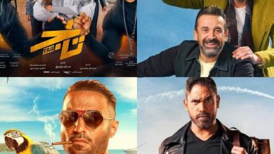 سينما مصر.. "بيت الروبي" يتصدر شباك تذاكر أفلام الصيف