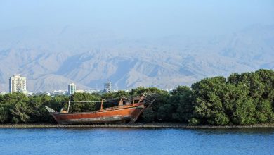 تعرف على أبرد منطقة في الإمارات