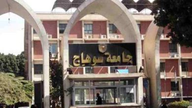 مركز التنمية المستدامة بجامعة سوهاج يشارك في المبادرة العربية للتعريف بشهادات الكربون 