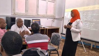 محافظ أسوان يكلف بتنظيم دورات تدريبية للتعريف بأهداف التنمية المستدامة