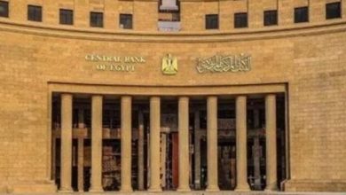 برعاية البنك المركزى المصري.. خدمات مصرفية مجانية بمناسبة اليوم العالمى للشباب