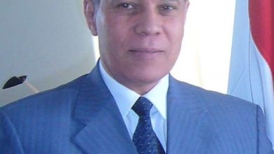 د. علي شعبان يكتب: العمل الخيري والترابط المجتمعي