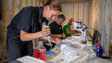 دراسة: استخدام الجهاز المناعي لعلاج سرطان المبيض