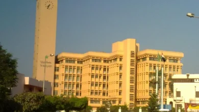 مؤتمر دولي بجامعة المنوفية حول الاستدامة البيئية والتحول نحو الاقتصاد الأخضر