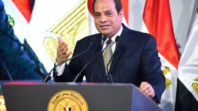الرئيس السيسي يؤكد أهمية الالتزام بأجندة التنمية المستدامة