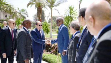 مصر تستعيد دورها الريادى فى أفريقيا وتنفذ مشروعات تنموية بالقارة