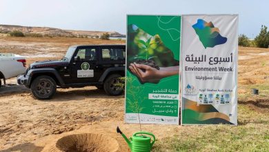 السعودية تستضيف فعاليات اليوم العالمي للبيئة تتويجاً لدورها الريادي