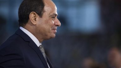 الرئيس السيسى يتبادل التهنئة مع الزعماء العرب والمسلمين بمناسبة المولد النبوى