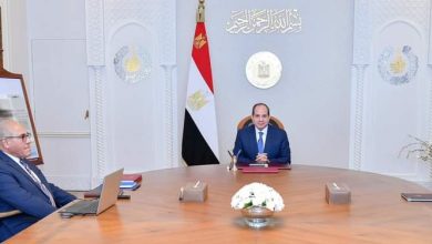 "السيسي" يوجه بتلبية متطلبات خطط التنمية المستدامة 