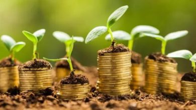 فلسطين: إطلاق مبادرة لدعم التحول إلى الاقتصاد الأخضر بتمويل أوروبي