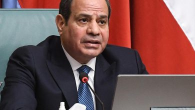 الرئيس السيسى: مصر دفعت ثمناً هائلاً من أجل السلام