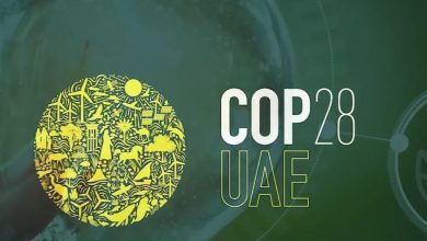 "COP 28".. الجامعات تعزز الوعي الطلابي بقضايا المناخ والاستدامة
